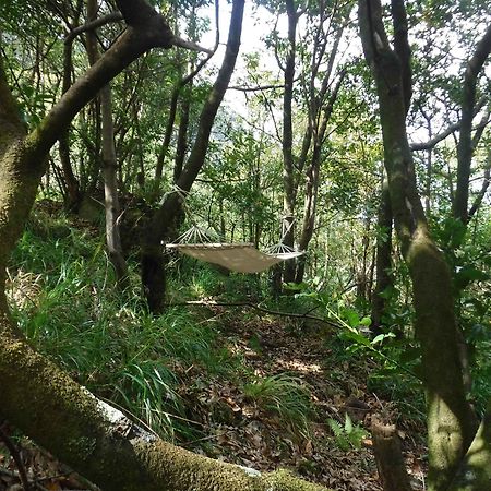 Nature Inn Madeira - Glamping Porto Moniz Dış mekan fotoğraf