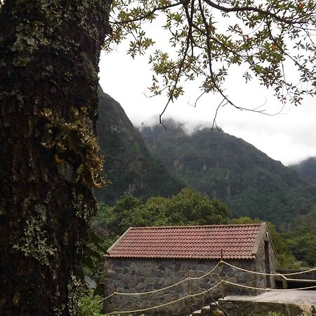 Nature Inn Madeira - Glamping Porto Moniz Dış mekan fotoğraf
