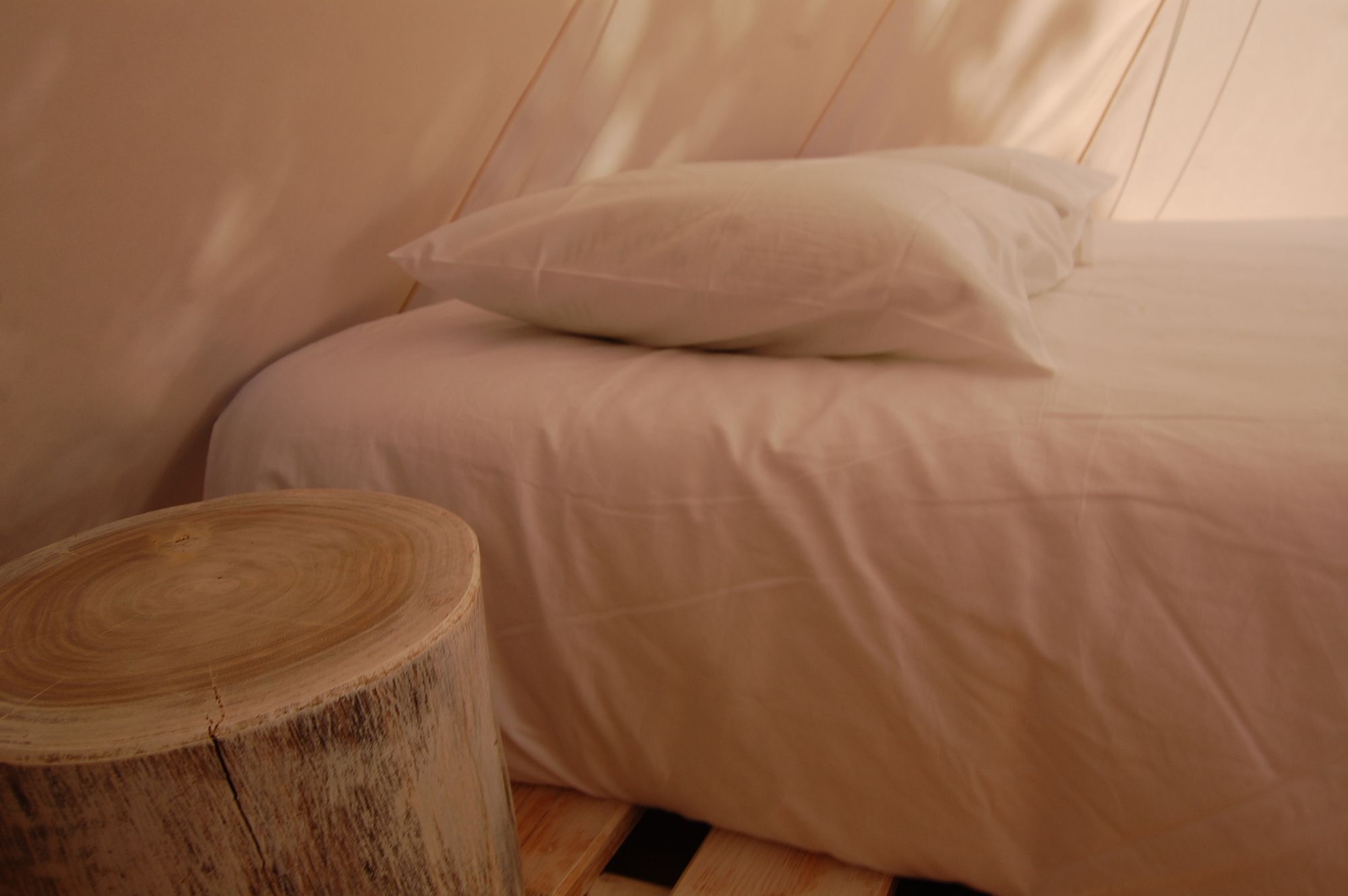 Nature Inn Madeira - Glamping Porto Moniz Dış mekan fotoğraf