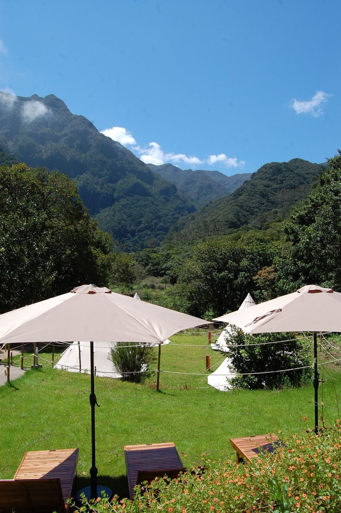 Nature Inn Madeira - Glamping Porto Moniz Dış mekan fotoğraf