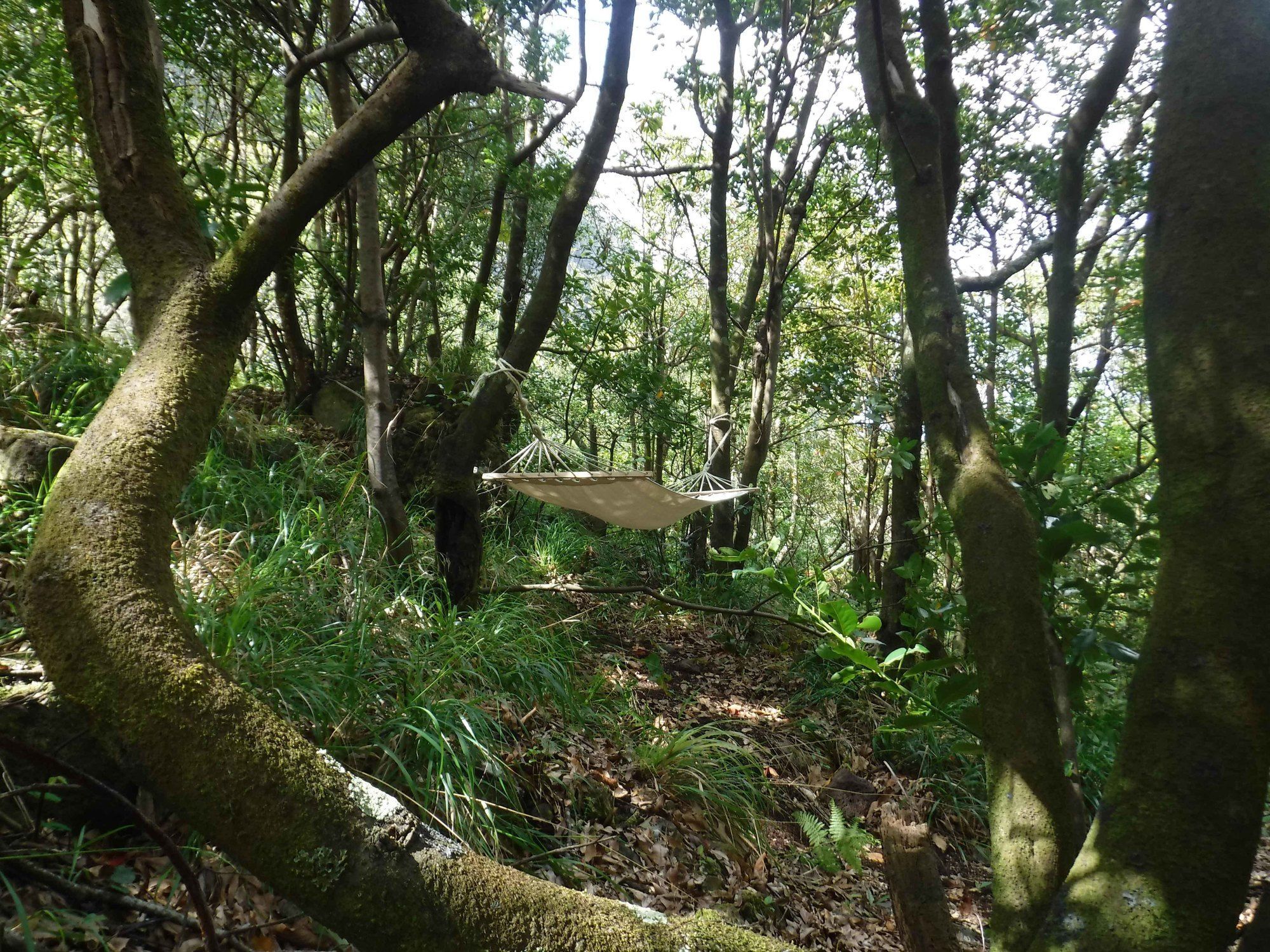 Nature Inn Madeira - Glamping Porto Moniz Dış mekan fotoğraf