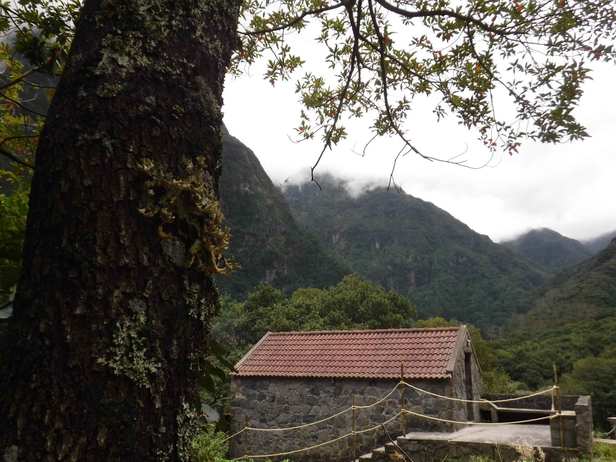 Nature Inn Madeira - Glamping Porto Moniz Dış mekan fotoğraf